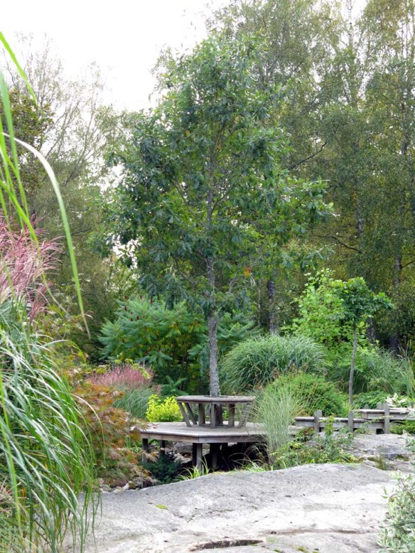 sep 2014 trädgård z6