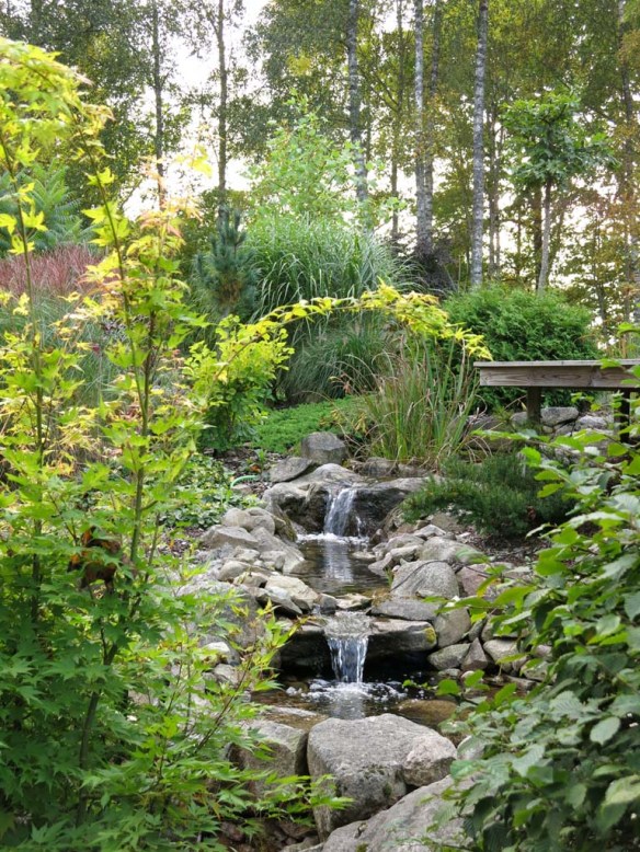 sep 2014 trädgård z7