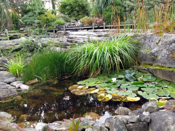 sep 2014 trädgård z8