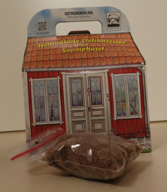 svamphus ostronskivling
