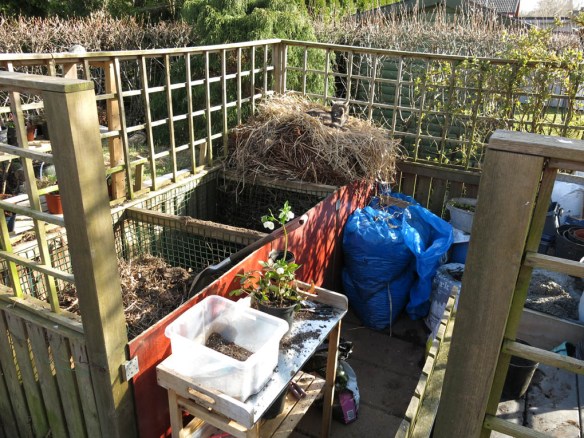 9 april 15 komposthörna katt plantering