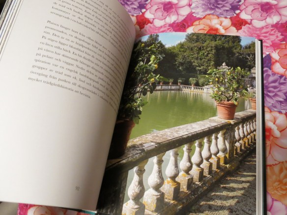 Inspirerande medelhavsträdgårdar Paula Modig 2