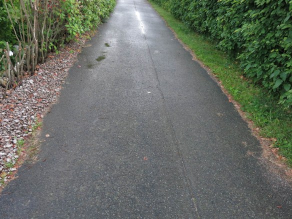 21 juni 15 sniglar grus gräs