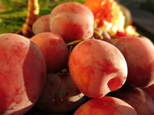 17 aug 15 plommon opal 2