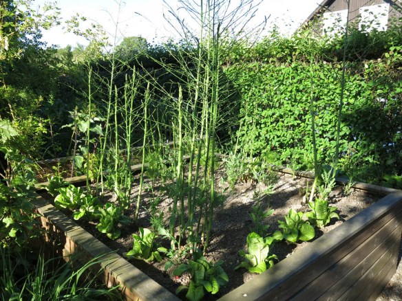 30 juni 15 sparrisland sallad