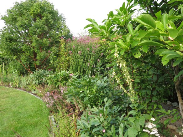 15 aug 15 gräscirkel framsida 6