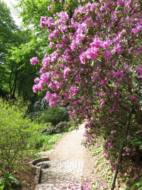 17 maj 15 Sofiero 16