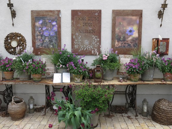 17 maj 15 Vår i kruka 19