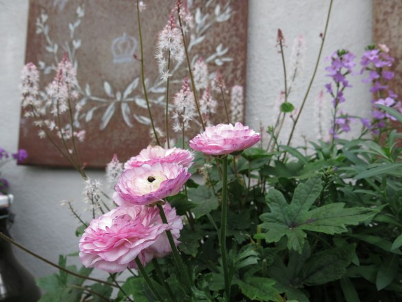 17 maj 15 Vår i kruka 2