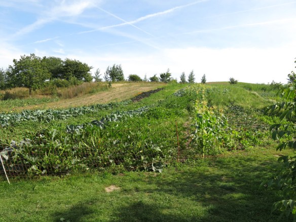 22 aug 15 Mandelmanns 7