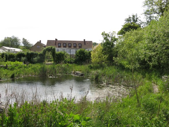 31 maj 15 Mandelmanns 13