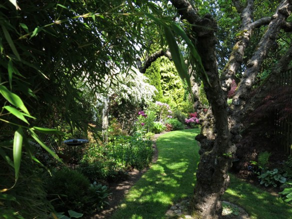 6 juni 15 ta trädgård 11