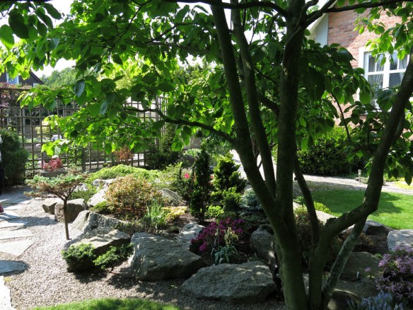 6 juni 15 ta trädgård 2