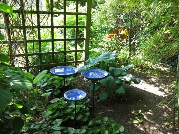 6 juni 15 ta trädgård 9