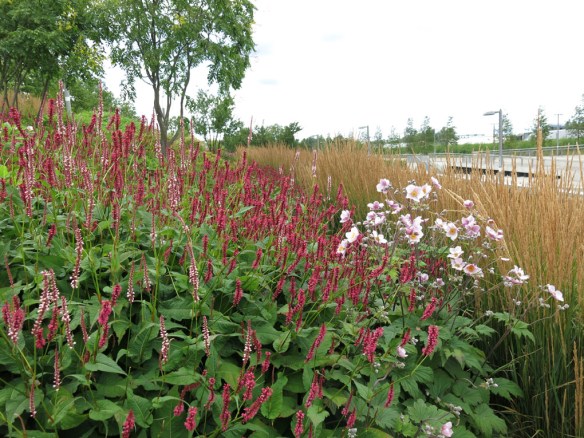 28 juli 15 Queen Elizabeth Olympic park Asien 1