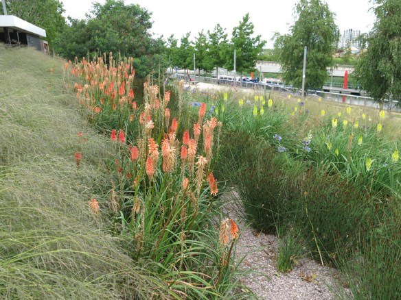 28 juli 15 Queen Elizabeth Olympic park SH 11