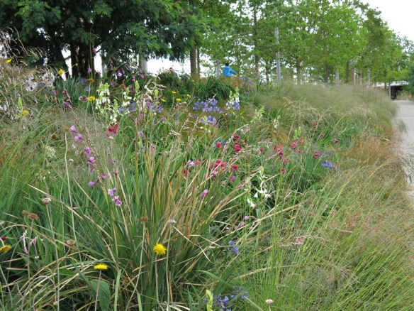 28 juli 15 Queen Elizabeth Olympic park SH 8