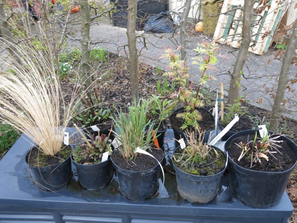 19 april 16 Exot inköp