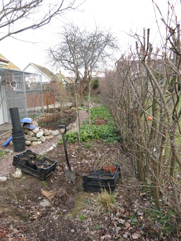 6 april 16 Trädhörnet grävning fiber 1