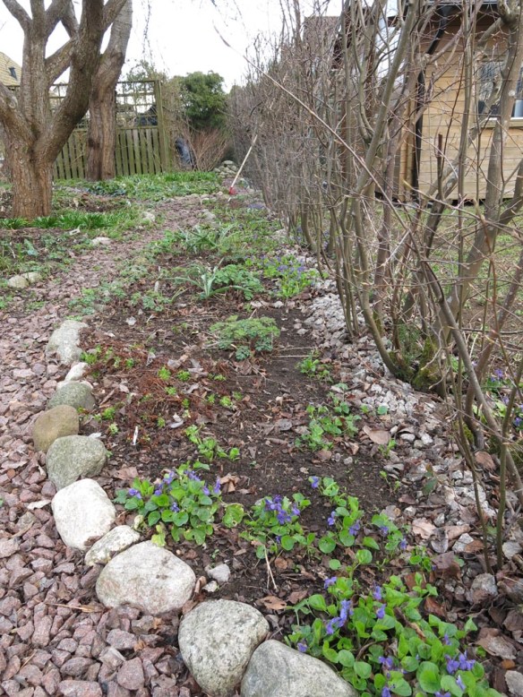 6 april 16 Trädhörnet grävning fiber 2