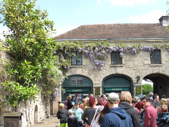 27 maj 13 warwick blåregn