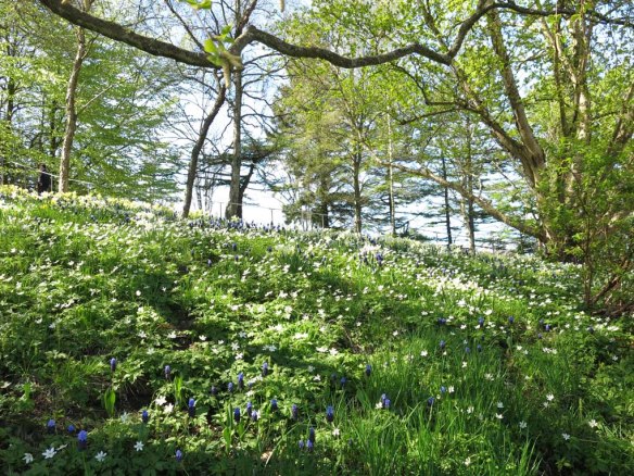 9 maj 16 botan lökäng