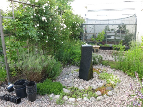 12 juni 16 spaljérabatten moonlight vattensten