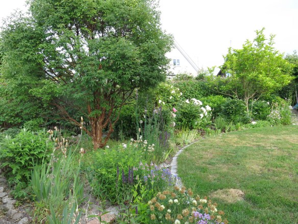 13 juni 16 stäpprabatt 1