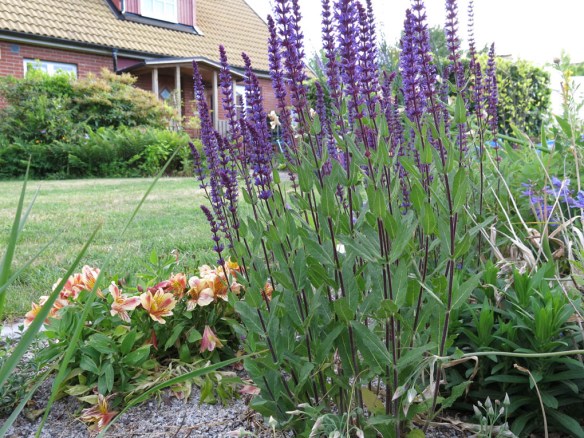 13 juni 16 stäpprabatt 3