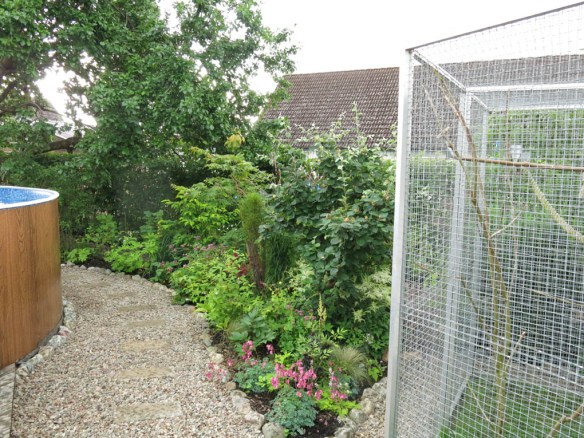 2 juli 16 pool fågelvoljär trädhörn japanska lönnar kvitten