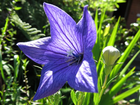 22 juli 16 praktklocka 3