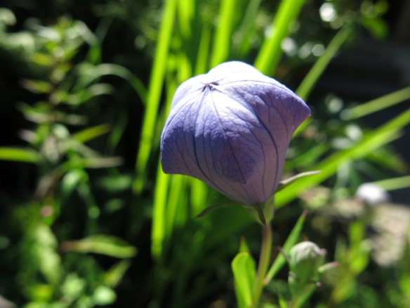 22 juli 16 praktklocka 5