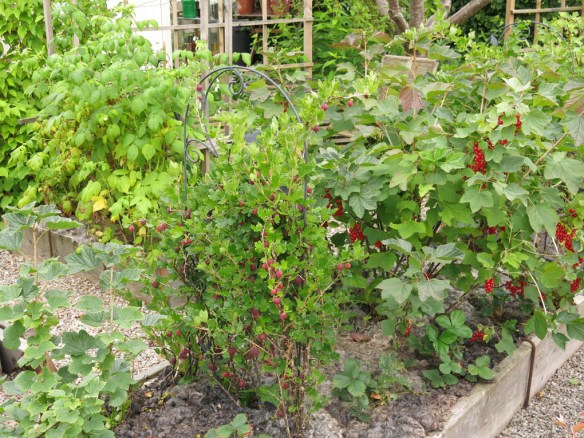 14-juli-16-vinbar-krusbar-barlandet-farull