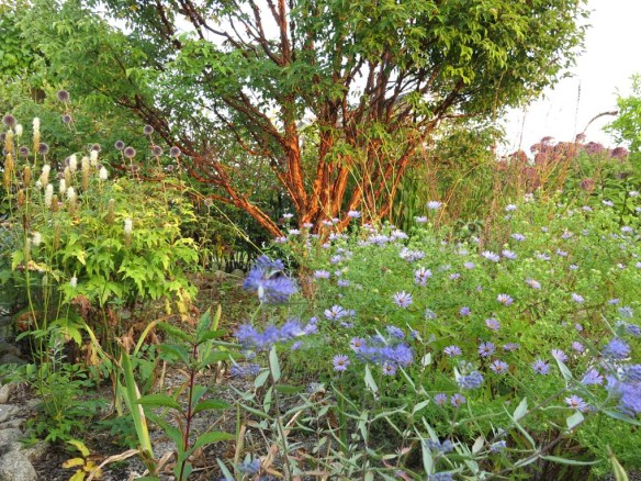 14-sep-16-kopparlonn-stapprabatten