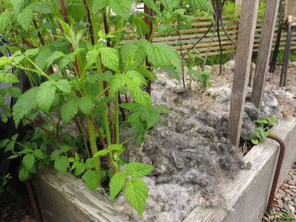 18-maj-16-barlandet-hallon-farull