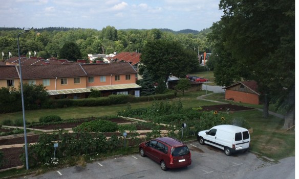 stadsodling-sommar-2