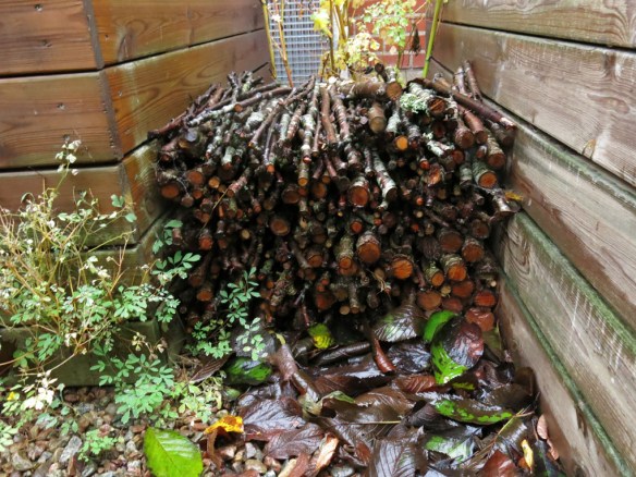 21-okt-16-beskarning-pinnar