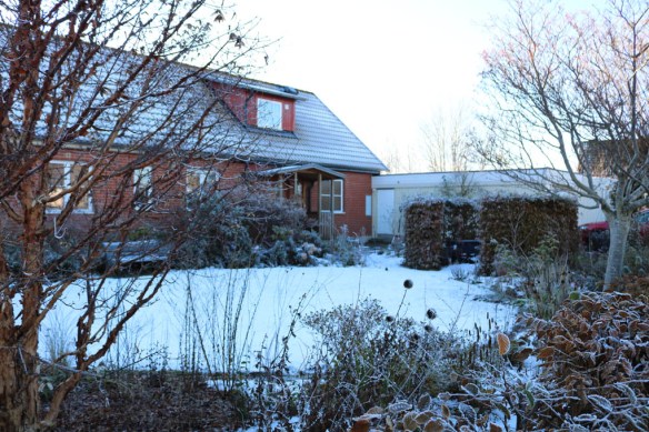 12-nov-16-sno-framsidan-grascirkel