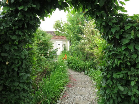 2-juli-avenboksportal-dagliljerabatt