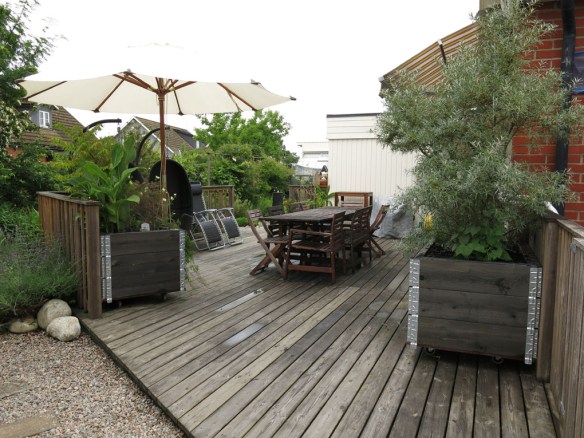 2-juli-16-tradacket-pallkragelada-havtorn-ronnsumak