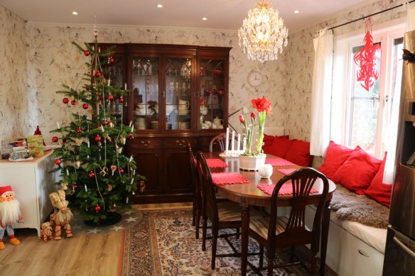 24-dec-16-kok-jul-amaryllis-1