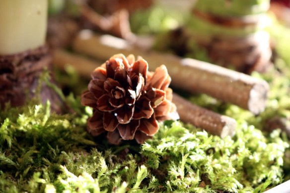 24-dec-16-mossa-kotte