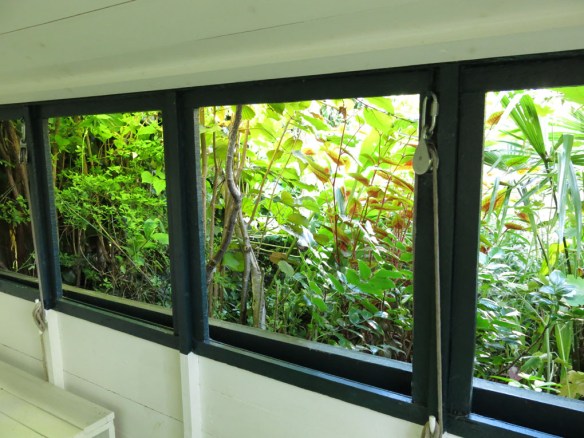 2-aug-15-ngs-93-ta-19