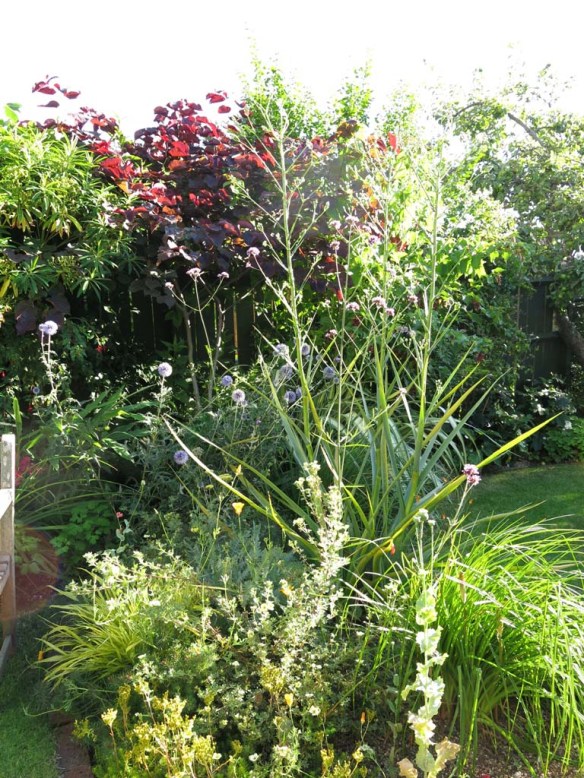 2-aug-15-ngs-93-ta-6