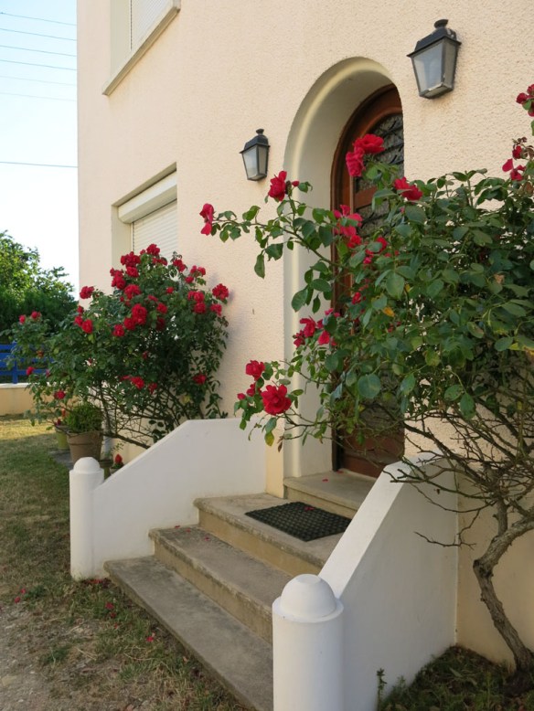 3-aug-13-frankrike-hus-rosor-kopia