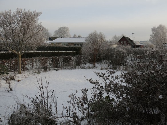 vinter-1-framsida-grascirkel-2016