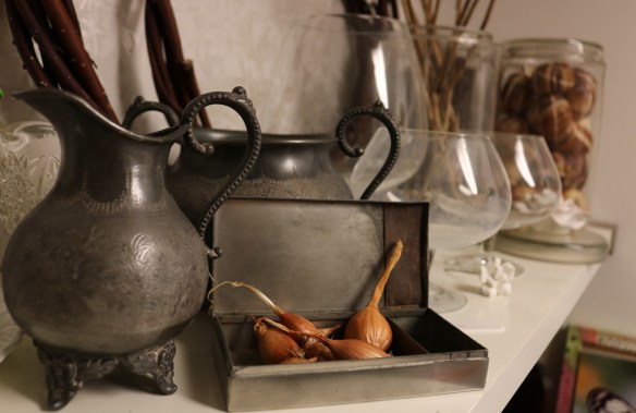 16-feb-17-tradgardsboden-7