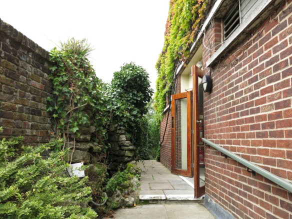 3-aug-15-roof-garden-1