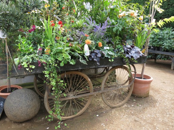 6-aug-15-petersham-nurseries-6