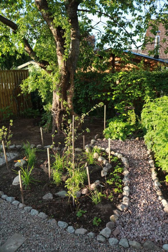 15 juni komposthörnan lunden 1